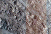 Terrain Sample