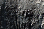 Gully Monitoring