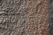Terrain Sample
