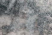 Terrain Sample