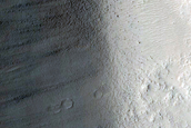 Terrain Sample