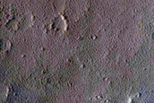 Terrain Sample