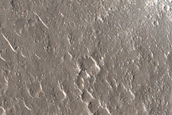 Terrain Sample