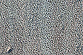 Terrain Sample