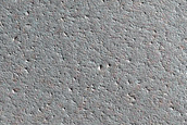 Terrain Sample