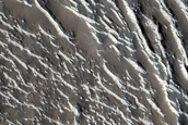 Groups of Ridges in Granicus Valles