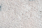 Terrain Sample
