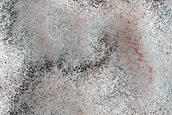 Terrain Sample