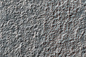 Terrain Sample