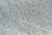 Terrain Sample