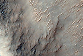 Terrain Sample