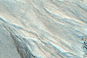 Gully Monitoring