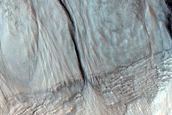 Well-Developed Equator-Facing Gullies in Northern Hemisphere
