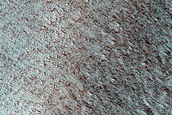 North Polar Terrain Sample