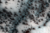 Dunes Dubbed Arrakis