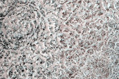 Northern Terrain Sample