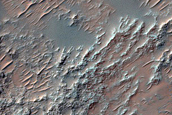 Possible Chloride-Rich Terrain in Crater North of Nirgal Vallis