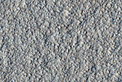 Amazonis Planitia Dust Devil Survey