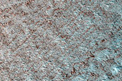 North Polar Sample