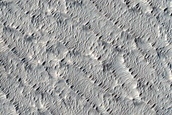 Candidate Recent Impact Site