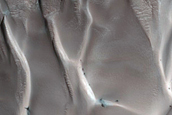 Dunes Dubbed Tleilax
