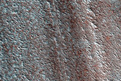North Polar Terrain Sample