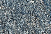 Albedo Monitoring in Phlegra Dorsa