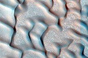 Dune Field Monitoring