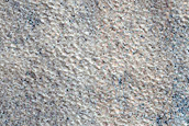 Northern Mid-Latitude Terrain