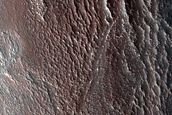 North Polar Monitor Site