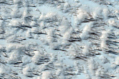 Candidate Recent Impact Site