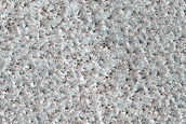 Northern Plains Terrain Sample