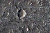 Northern Mid-Latitude Terrain