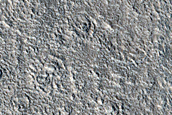 Flows in Utopia Planitia