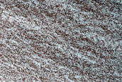 North Polar Terrain Sample