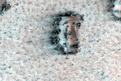 Northern Plains Dunes