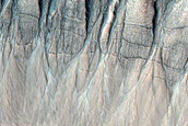Gully Monitoring