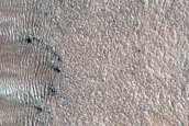 Western Abalos Scopuli Scarp and Dune Monitoring