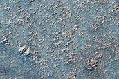 Syria Planum Dust-Raising Event Monitoring Site