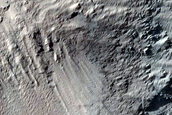 Nicholson Crater Rim