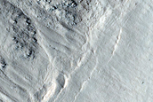 Gully Monitoring