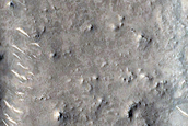 Arena Colles Terrain Sample