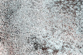 Terrain Sample