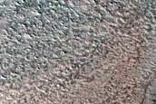 North Polar Terrain Sample