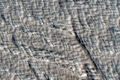 Monitoring New Impact Site