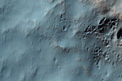 Possible Pyroxene-Bearing Materials in Newton Crater
