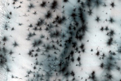 North Polar Dune Sample