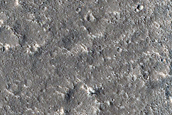 Terrain Sample