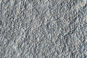Amazonis Planitia Dust Devil Region