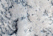 Northern Mid-Latitude Terrain